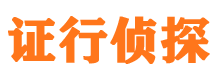 桃城侦探公司